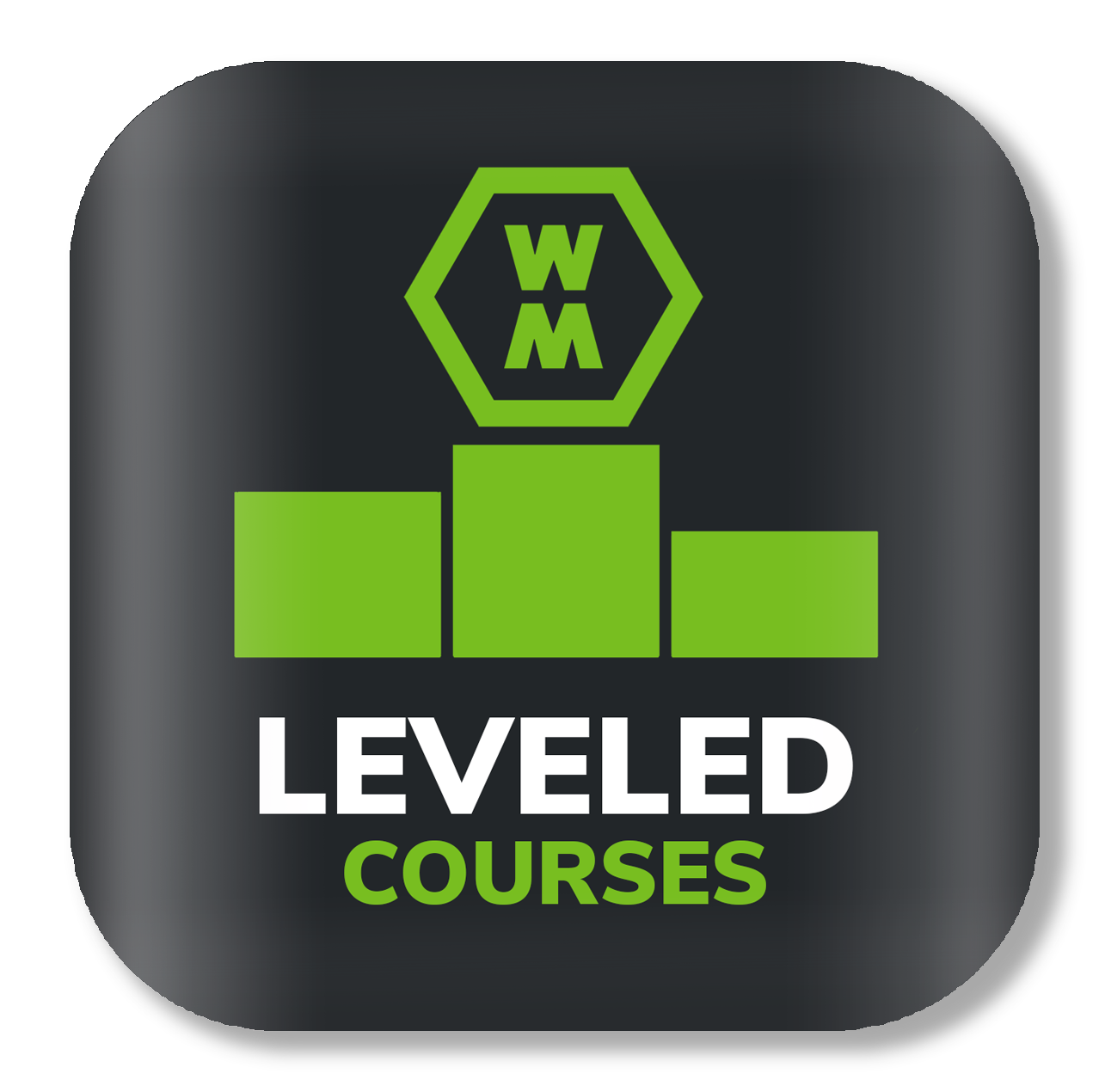 LEVELED-COURSES-1